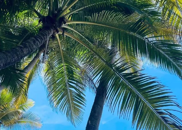 Luxury tent Cabinas De Lou Eco Tamarindo Santa Rosa (Tamarindo)
